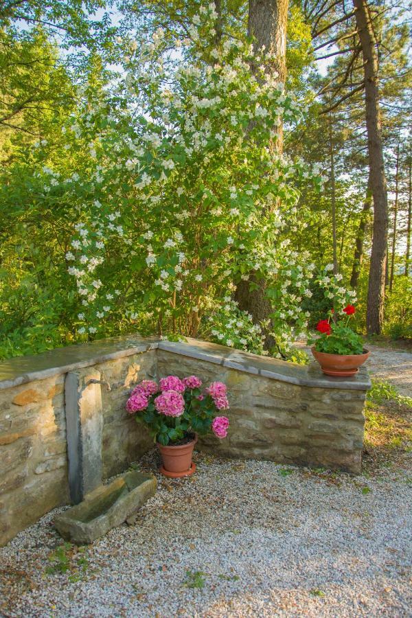 Il Ginepro Villa Cortona Exterior photo
